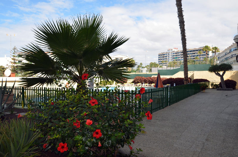 Apartamentos Los Juncos I Playa del Inglés Esterno foto