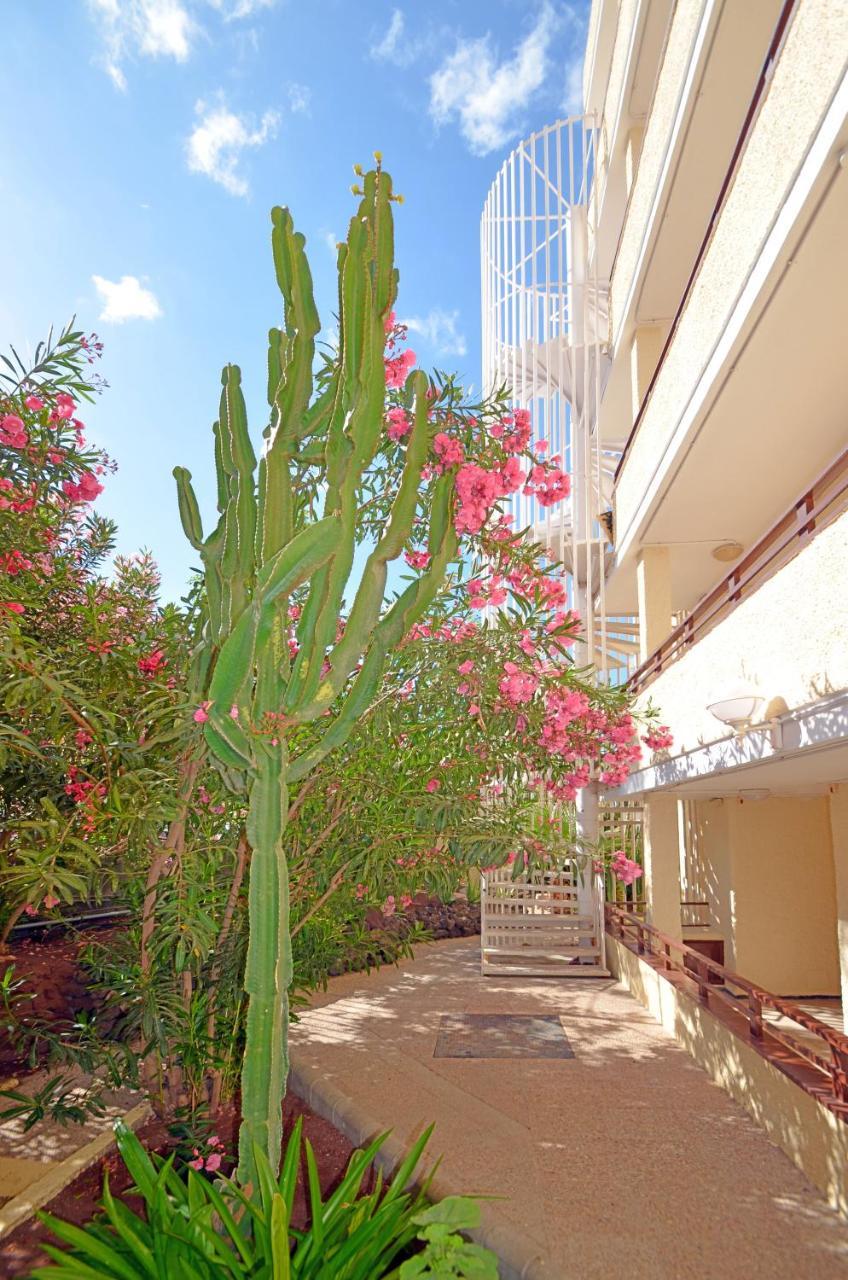 Apartamentos Los Juncos I Playa del Inglés Esterno foto